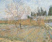 Orchard with Peach Trees in Blossom (nn04) Vincent Van Gogh